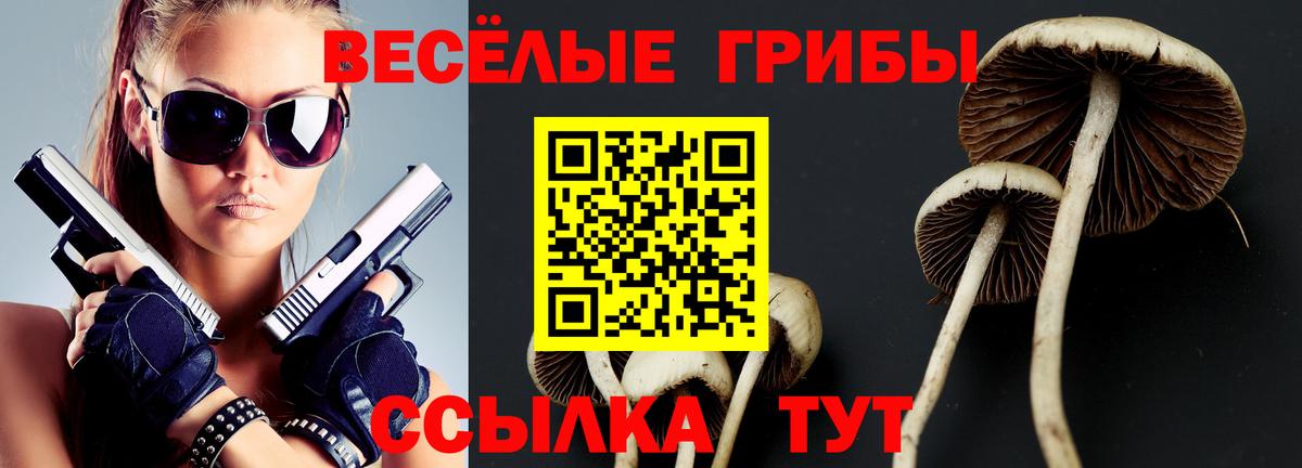 Архангельск  Галлюциногенные грибы Psilocybe  Галлюциногенные грибы прущие грибы  Вход с VPN 